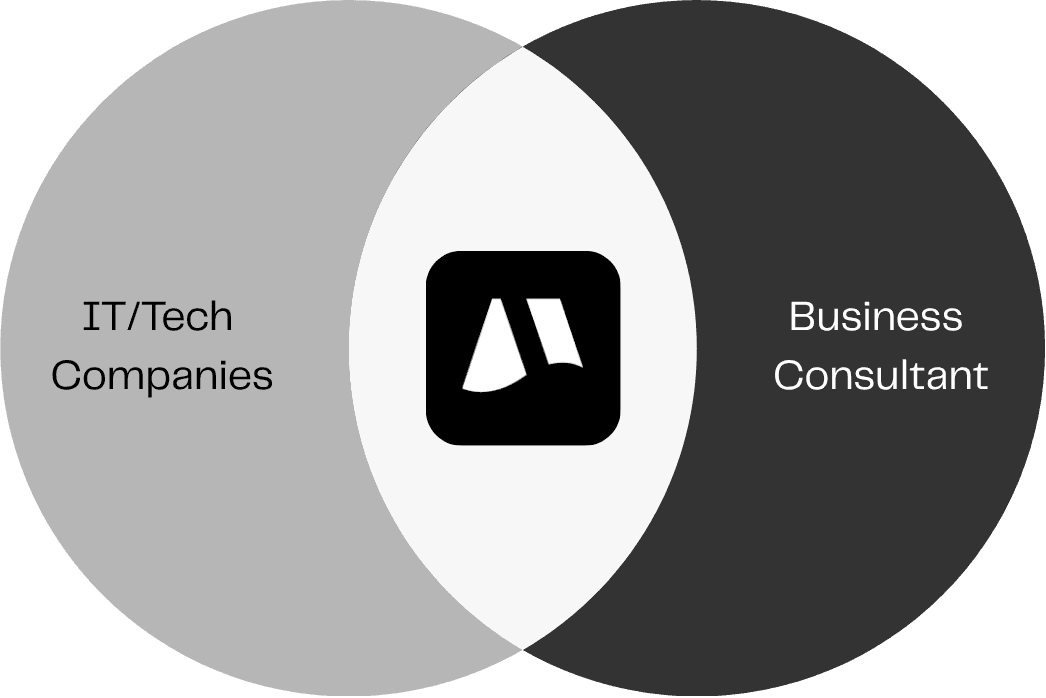 IT/Tech Companies & Business Consultant Venn Diagram